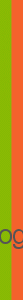 background_green-orange.gif